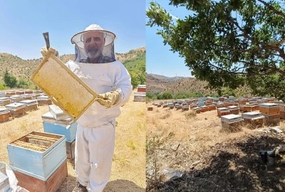 Diyarbakır Yaylalarında Bal Hasadı