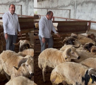 Diyarbakırlı Zemin Usta’dan kurbanlık seçerken dikkat edilmesi gerekenler