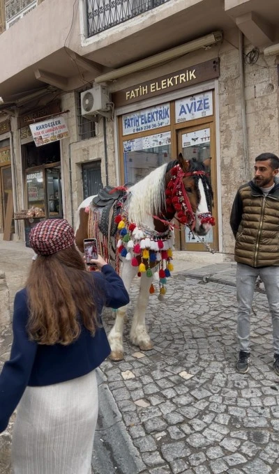 Dizilerde rol alıyorlar, doğum günleri kutlanıyor: İşte Mardin’in efsane atları