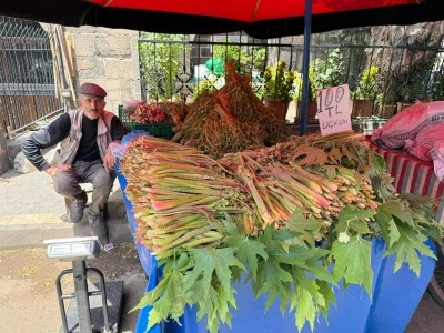 Doğanın Şifa Deposu