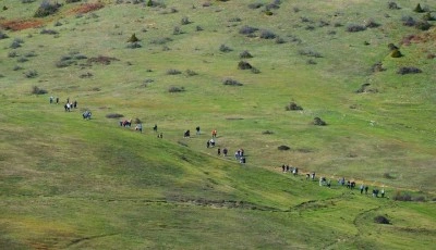 Doğaseverlerin bu haftaki rotası Karag&ouml;l ve Sultanpınarı Yaylası oldu