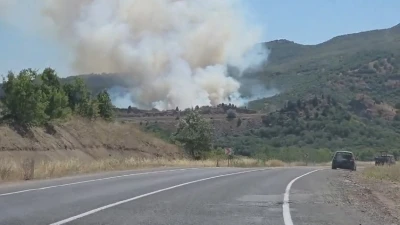 Domani&ccedil;&rsquo;te tarlada başlayan yangın ormana sı&ccedil;radı
