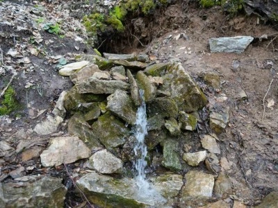 Herkes bu sudan şifa arıyor