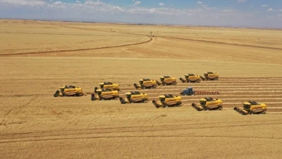 D&uuml;nyanın en b&uuml;y&uuml;k tarım arazisinde 238 bi&ccedil;erd&ouml;ver ile hasat