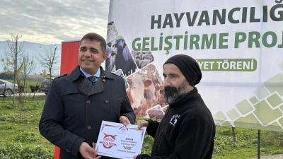 Düzce’de Manda Yetiştiriciliği Gelişiyor: 17 Damızlık Manda Boğası Üreticilere Teslim Edildi