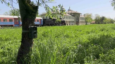 Edirne&rsquo;de fotokapanlar yaban hayatını g&ouml;r&uuml;nt&uuml;l&uuml;yor
