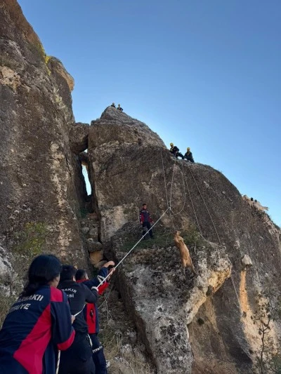 Eğil’de Mahsur Kalan 25 Keçi, İtfaiye Ekiplerince Kurtarıldı