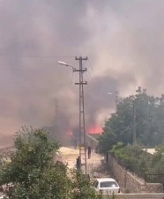 Ekin yangını korkuttu