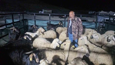 Kurban pazarında uykusuz mesai