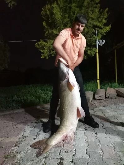 Elazığ'da Murat Nehri'nden 75 Kiloluk Dev Turna Balığı Yakalandı!