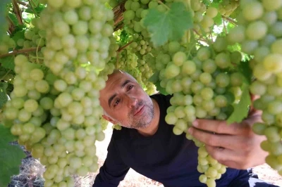 Elazığ&rsquo;ın tescilli lezzeti T&uuml;rkiye yolculuğuna hazırlanıyor