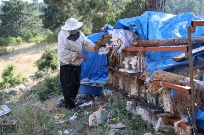 Toroslar&rsquo;ın zirvesinde arılarla doğal hayat