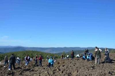 Emet&rsquo;te zeytin fidanları toprakla buluştu