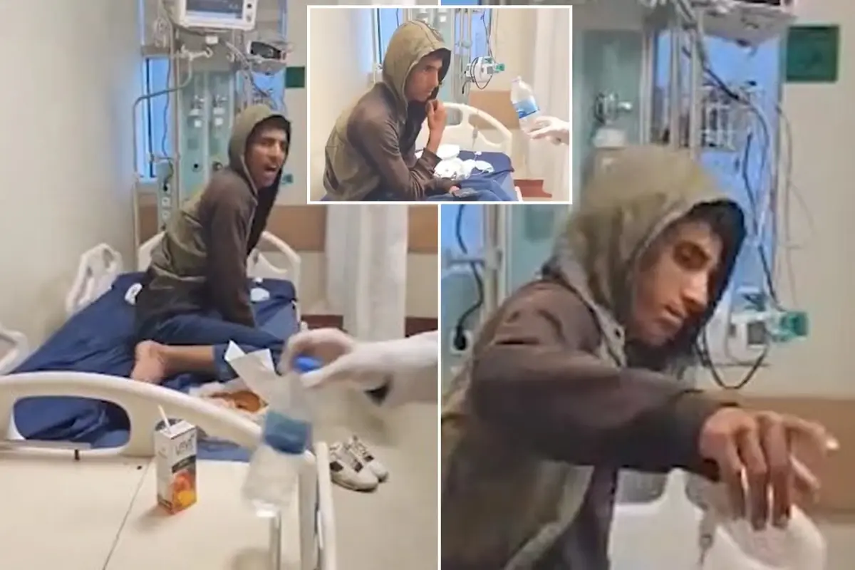 Ergani’de Köpek Saldırısı Sonrası Kuduz Teşhisi Konulan Suriyeli Çocuk Hayatını Kaybetti