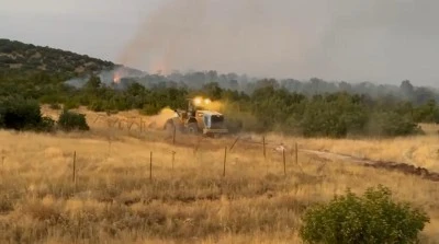 Ergani ve Lice'deki Orman Yangınları Söndürüldü