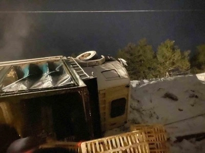 Erpiliç’in tavuk yüklü kamyonu devrildi: Yüzlerce tavuk telef