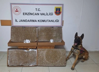 Erzincan’da 2025 Ocak ayında jandarma mıntıkasında meydana gelen 126 olayın yüzde 99’u aydınlatıldı