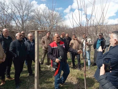 Erzincan&rsquo;da &ccedil;ift&ccedil;ilere budama eğitimi verildi