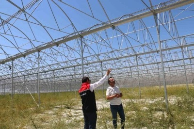 Erzincan’da jeotermal sera yatırımları devam ediyor