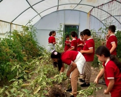 Öğrenciler serada kış sebzelerinin ekimine başladı