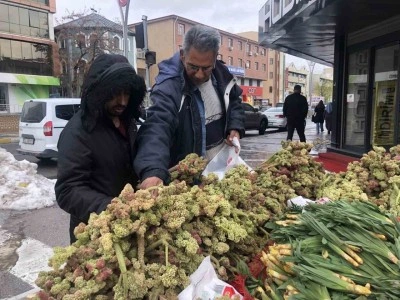 Erzincan’da ‘yayla muzunun’ destesi 100 ila 300 TL’den satışta