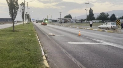 Kara yolunda hüzünlendiren görüntü