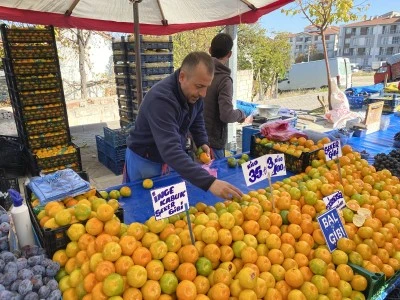 Eskişehir’de Mandalina Bereketi: Fiyat Düştü, İlgi Arttı