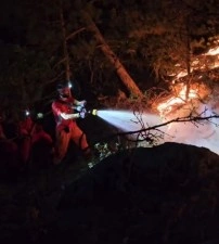 Orman yangınına karadan müdahale