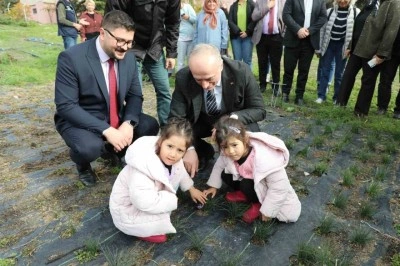 Eskişehir safran &uuml;retiminde birincilik yolunda