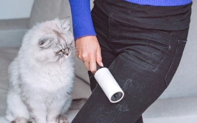 Evcil hayvan tüyleri akciğere yerleşip hasta etmez