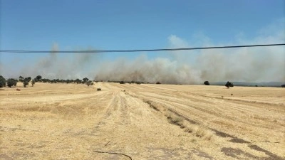 Tarım arazisinde yangın