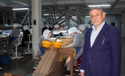 Fındık fiyatlarındaki d&uuml;ş&uuml;ş s&uuml;r&uuml;yor