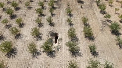  Fıstık tarlasından binlerce yıllık kaya mezarı çıktı