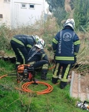 Fosseptik &ccedil;ukuruna d&uuml;şen k&ouml;pek kurtarıldı