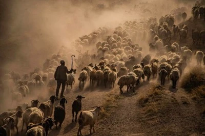 FOTONO21 Hevsel Kupası sonu&ccedil;ları a&ccedil;ıklandı