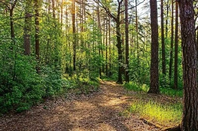 Gaziantep'te bu alanlara girişler yasaklandı
