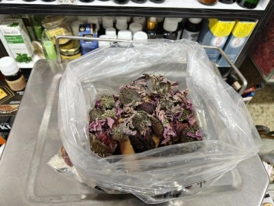 Ge&ccedil;meyen &ouml;ks&uuml;r&uuml;ğe &lsquo;bitkisel&rsquo; karışım