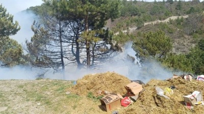 Gediz’deki orman yangını kontrol altına alındı