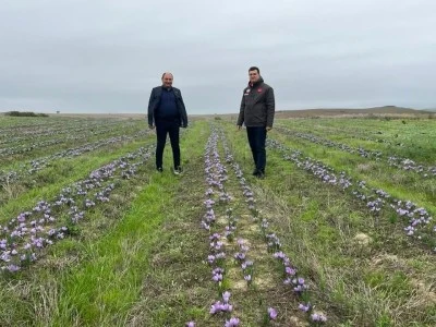 Genç Çiftçilerden Bölge Tarımına Yeni Umut