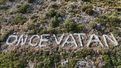 Gençler Datça’nın simgesine sahip çıktılar