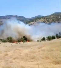 Korkutan orman yangını