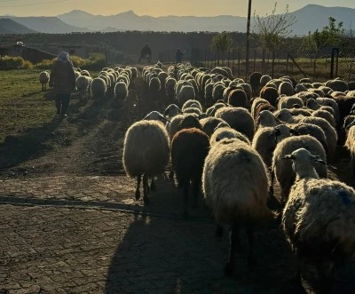 G&ouml;&ccedil;erler Yayla Yoluna D&uuml;şt&uuml;