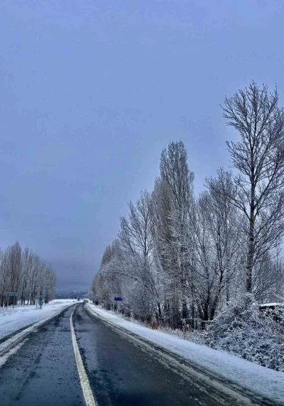 Kar yağışı sonrası ağaçlar beyaz örtüyle kaplandı