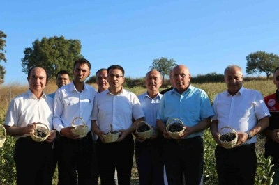 2'inci aronya hasadı yapıldı