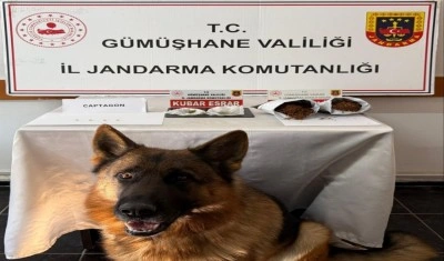 G&uuml;m&uuml;şhane&rsquo;de uyuşturucu operasyonunda 4 kişi yakalandı