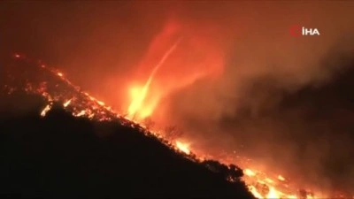 Güney Kore'de orman yangını: 2 ölü, 6 yaralı