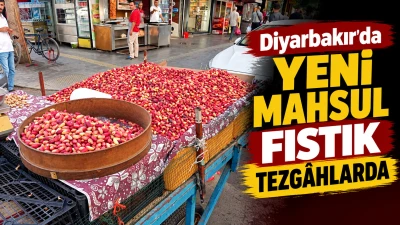 Diyarbakır&rsquo;da yeni mahsul fıstık tezg&acirc;hlarda