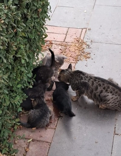 Uzmanlardan Kış Uyarısı 