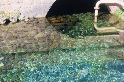 Anzele Yazın &Ccedil;ocukların Kışın Balıkların Mek&acirc;nı