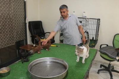 Diyarbakır'daki G&uuml;vercin Otelinin En İlgin&ccedil; Sakini Şaşırtıyor